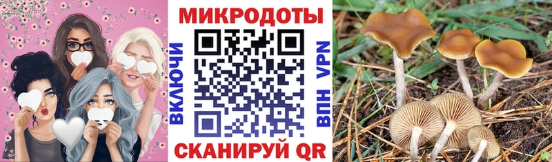 наркошоп  Гаджиево  Псилоцибиновые грибы мухоморы 